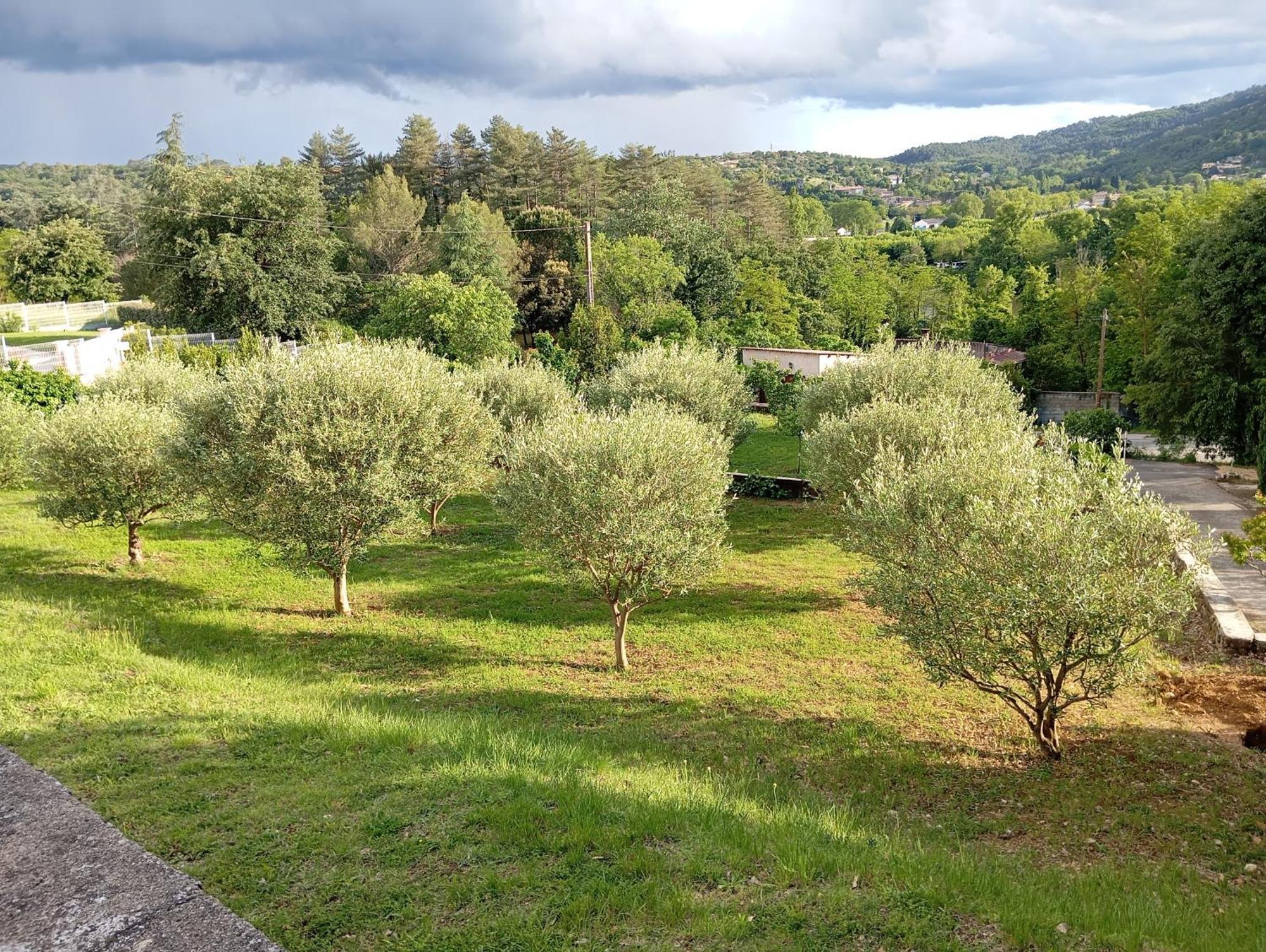 Le Moulin Villa Vallon-Pont-dʼArc Buitenkant foto