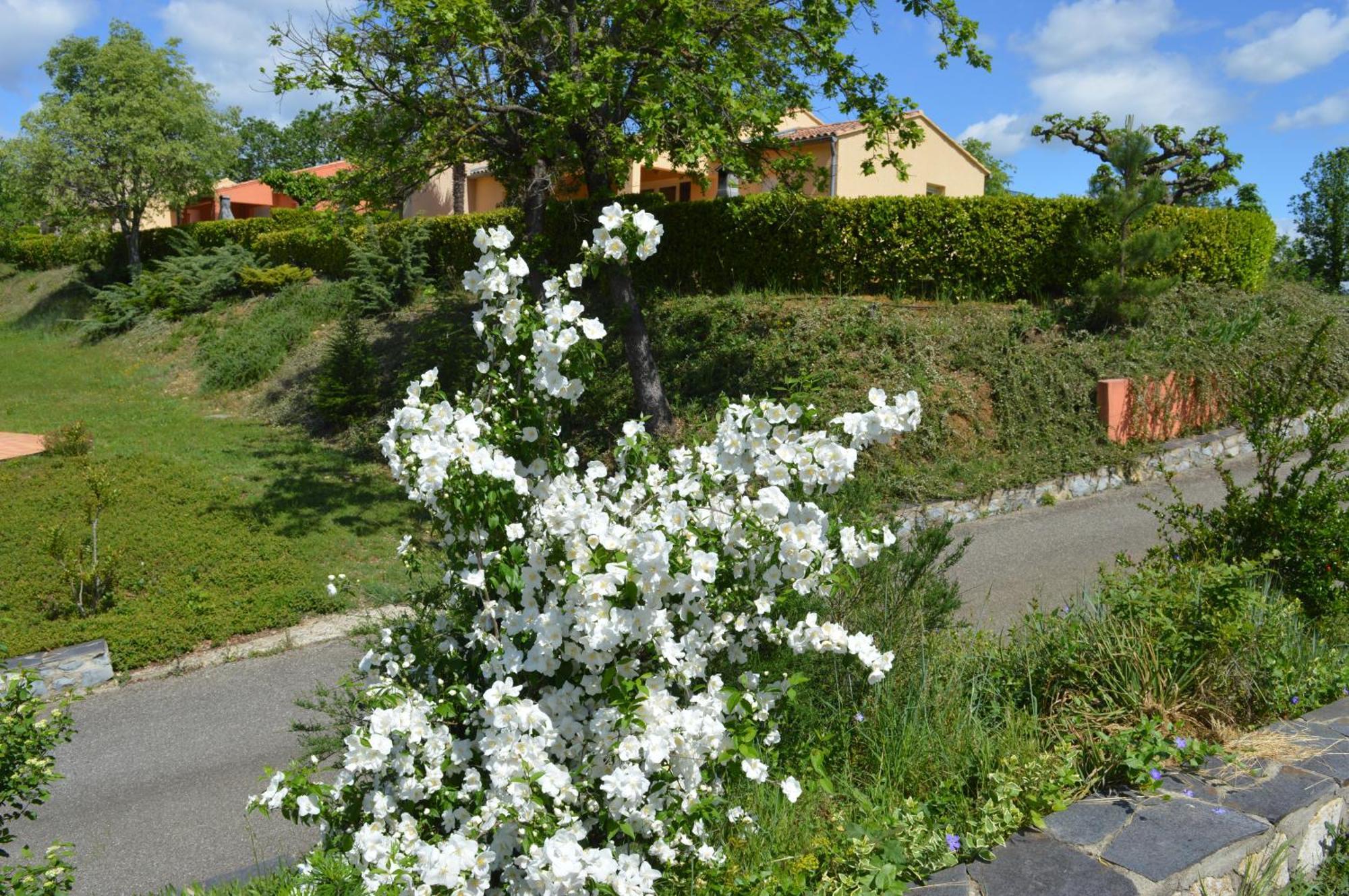 Le Moulin Villa Vallon-Pont-dʼArc Buitenkant foto